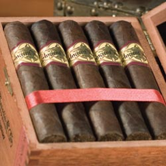 Ancient%20Warrior%20%2D%20Robusto