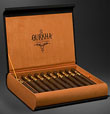 Black Dragon - Torpedo